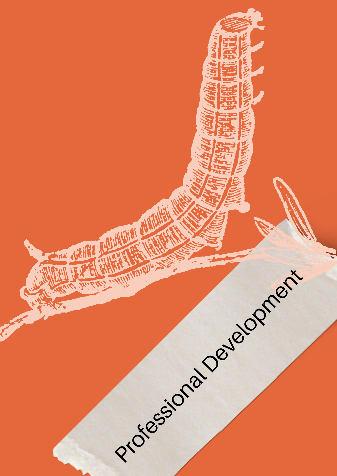 Professional development workshop material